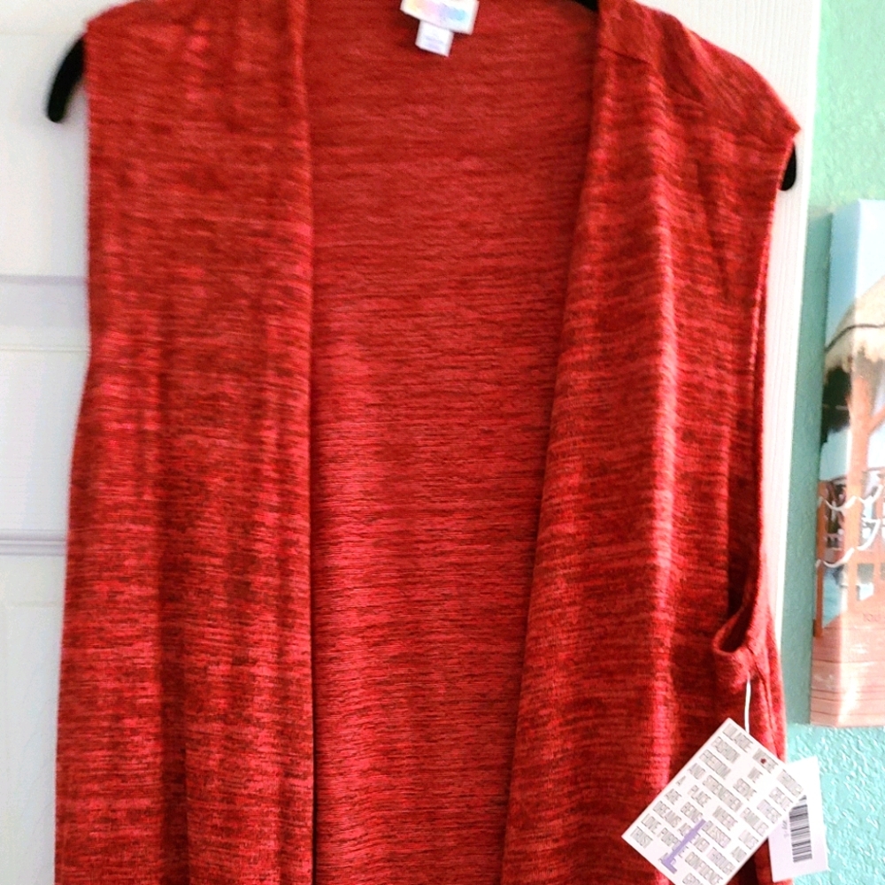 Reduced 6/4 Lularoe Joy Size Large